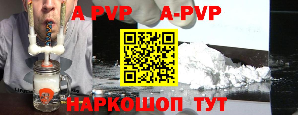 Альфа ПВП СК КРИС Темрюк