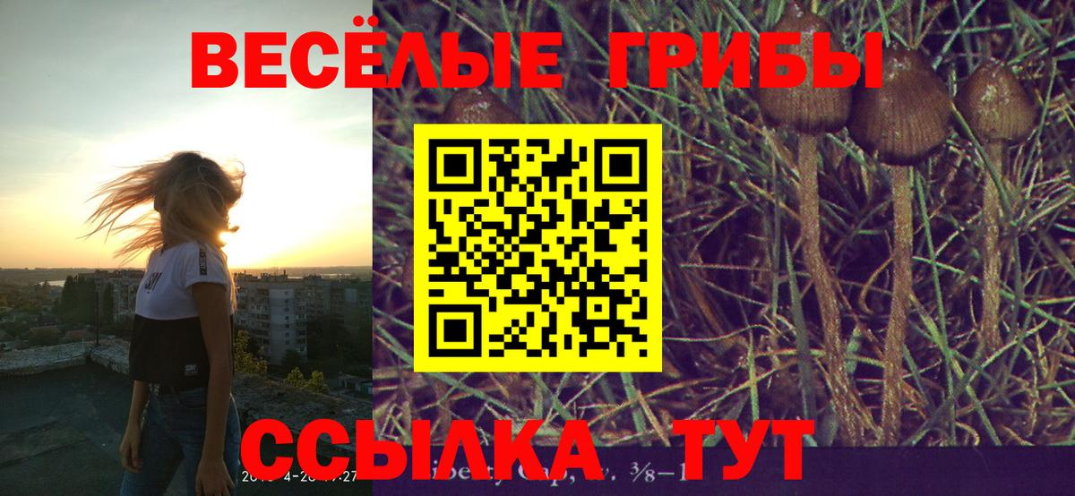 Галлюциногенные грибы Psilocybine cubensis  где купить наркотик  Темрюк  Псилоцибиновые грибы Psilocybine cubensis 